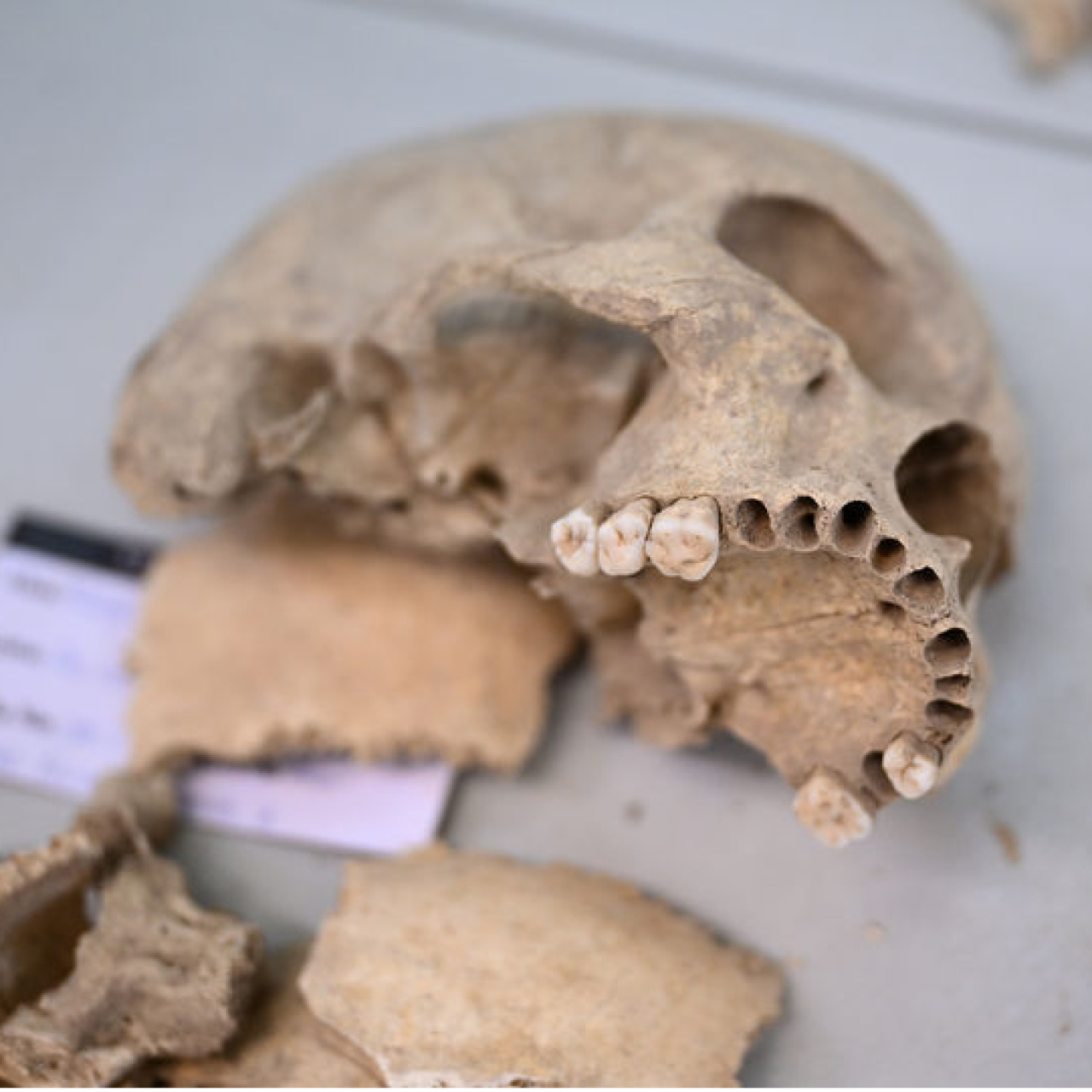 12 bin yıllık sır Diyarbakır'da ortaya çıkarılıyor