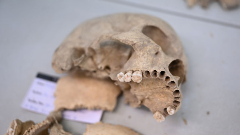 12 bin yıllık sır Diyarbakır'da ortaya çıkarılıyor