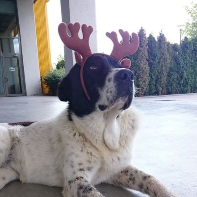 Sığındığı metroda darp edildiği iddiası