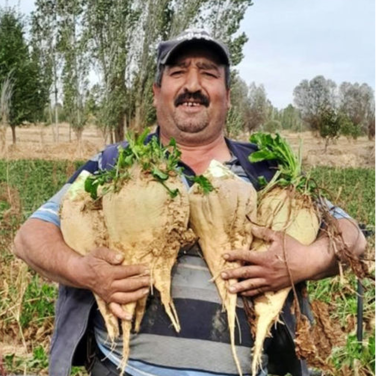 Yeğeninin eski eşi tarafından öldürüldü