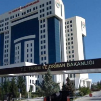 'İthal hayvan' paylaşımlarına açıklama