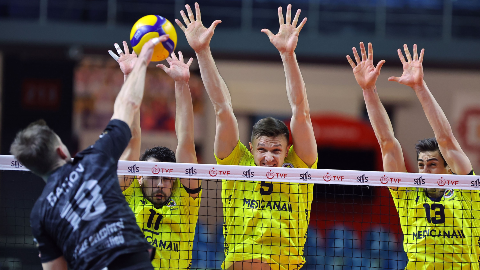 Fenerbahçe Medicana, Radnicki ile karşı karşıya! - Voleybol Haberleri