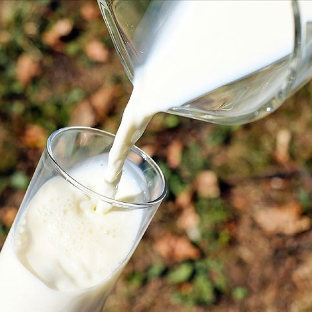 TÜSEDAD’dan 'süt fiyatı' çağrısı