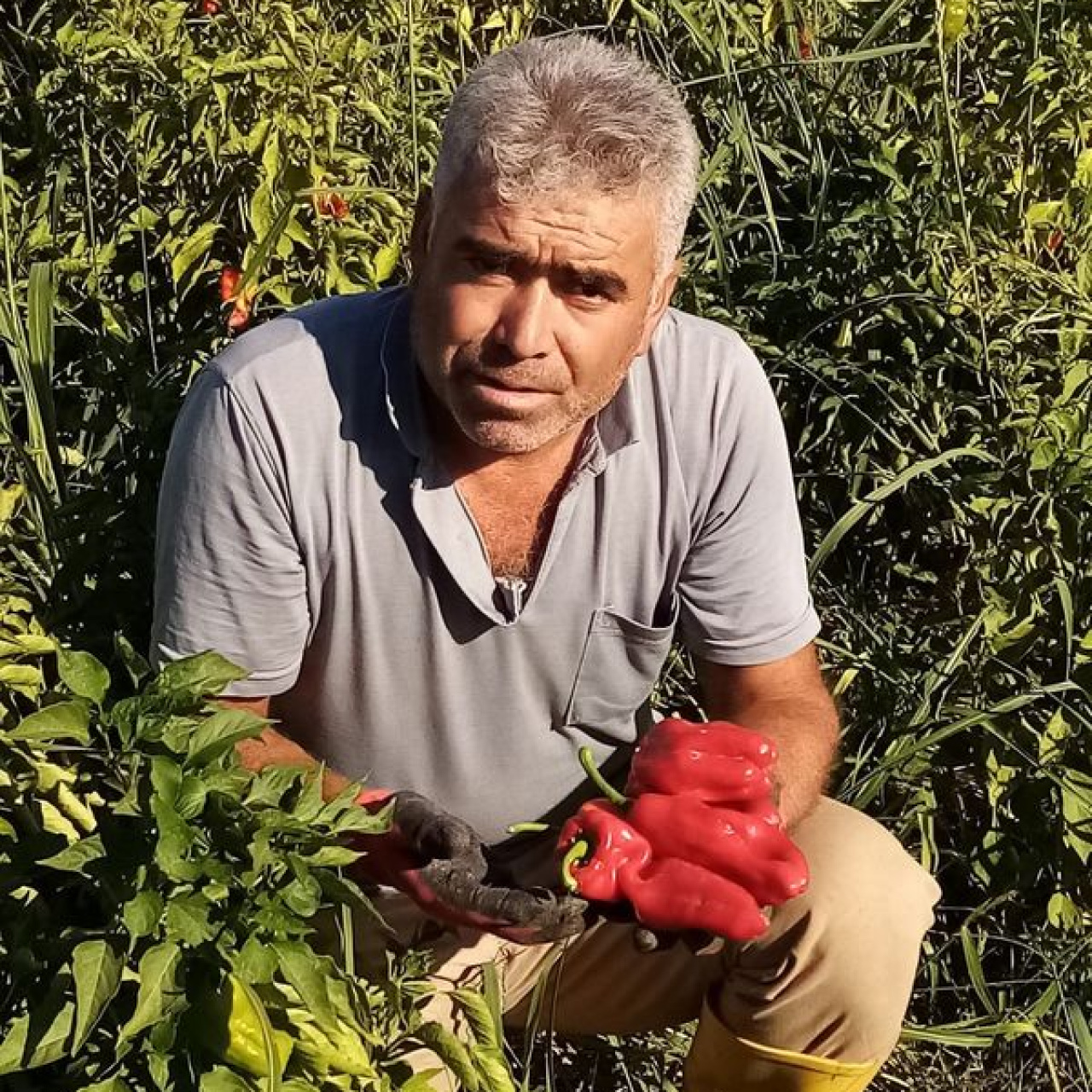 Asansör faciası! 1 kişi can verdi