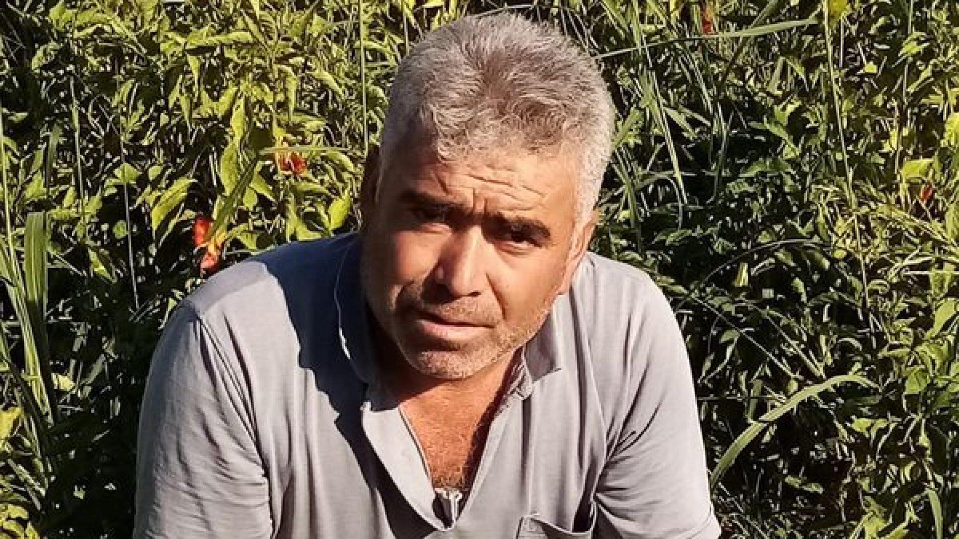 Son dakika: Asansör boşluğuna düşen servis şoförü hayatını kaybetti | Son dakika haberleri