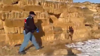 Saman balyaları arasından esrar çıktı: 3 gözaltı