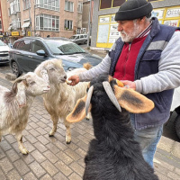 Beraber yürüyüşe çıktı, ilgi odağı oldu