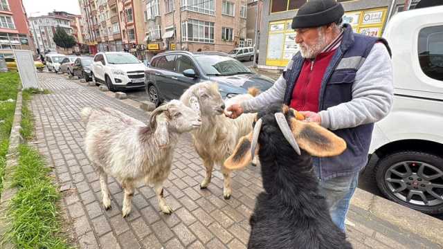 Beraber yürüyüşe çıktı, ilgi odağı oldu