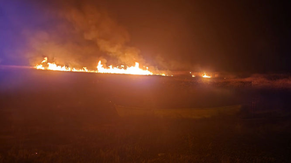 Eber Gölü'nde yangın çıktı
