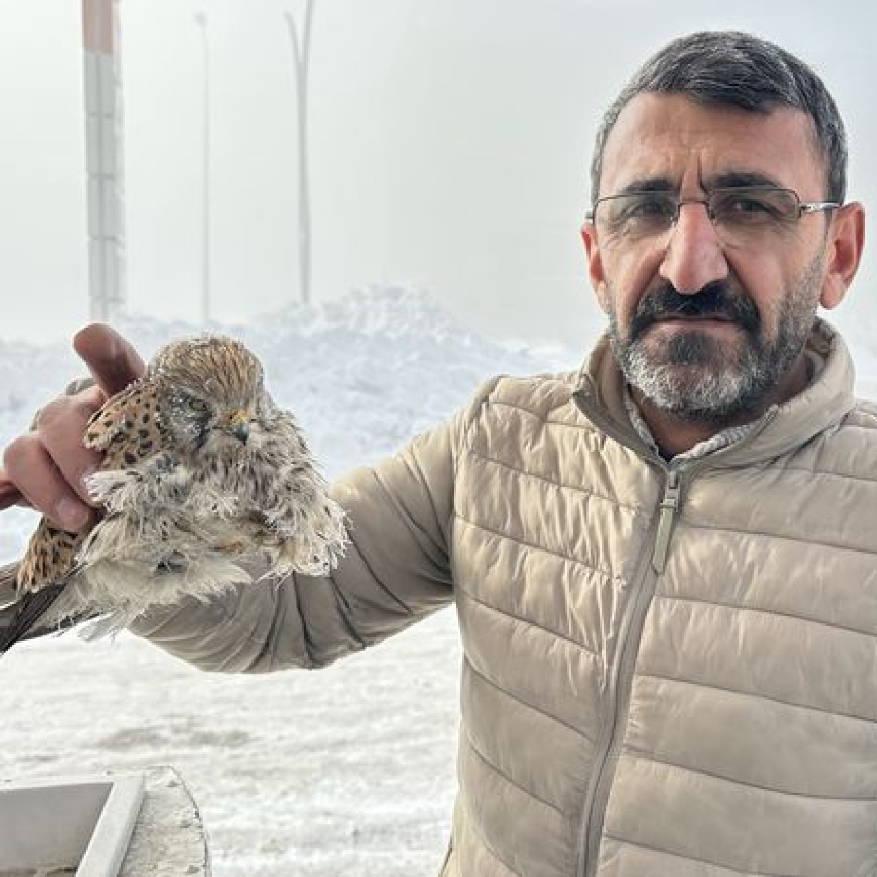 Bir ilimizde kuş konduğu yerde dondu!