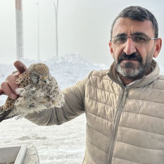 Bir ilimizde kuş konduğu yerde dondu!