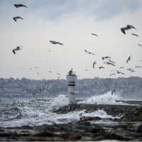 Deniz seferlerine fırtına engeli