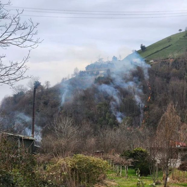 Rize'de örtü yangını çıktı