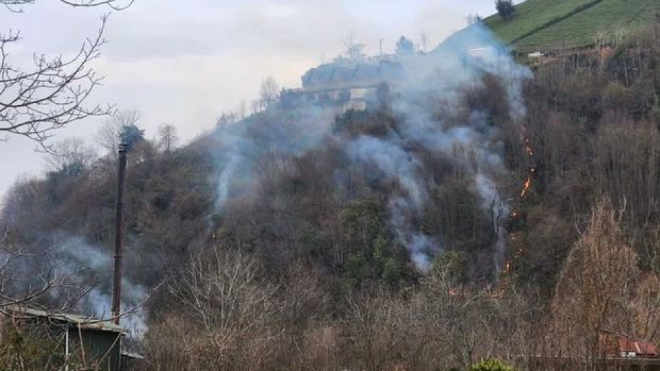 Rize'de örtü yangını çıktı