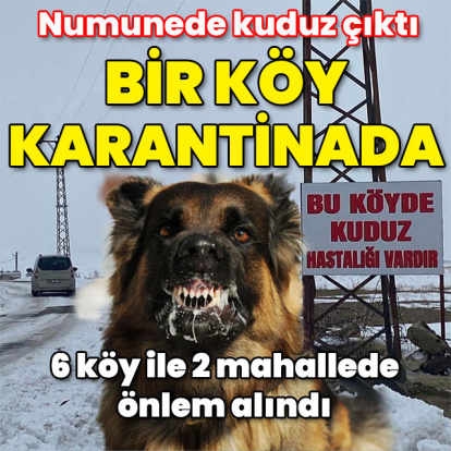 Alınan numunede kuduz çıktı! Köy karantinada!