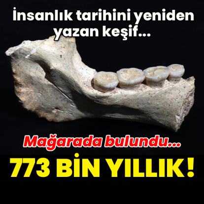 İnsanlık tarihini yeniden yazan 773 bin yıllık keşif!