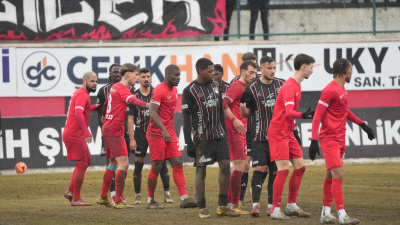 Boluspor, Vanspor'u tek golle devirdi!