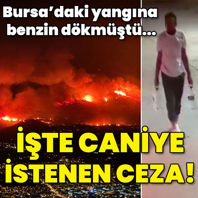 Bursa'daki yangına benzin dökmüştü... İşte cani için istenen ceza!