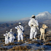 Mehmetçiğe dur durak yok