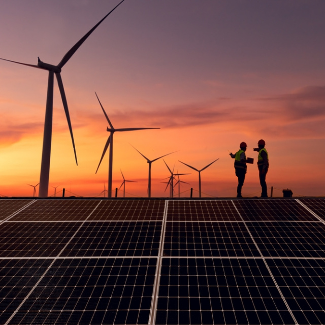 Yenilenebilir enerji istihdamı ilk kez 2024'te ivme kaybetti