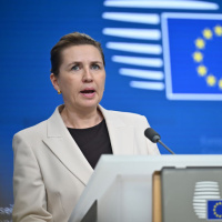 Danimarka Başbakanı: Ülke bir yol ayrımında