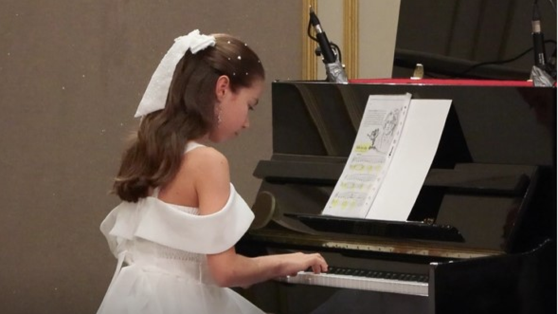 Sokak hayvanları için ortak piyano konser