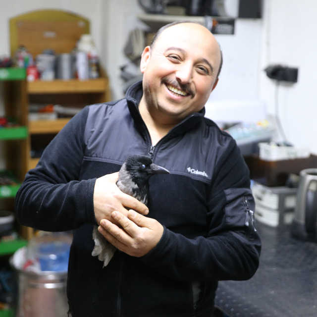 Yaralı halde bulduğu Haşmet, en yakın arkadaşı oldu