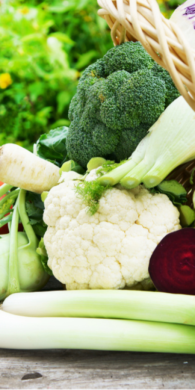 Ocak ayının C vitamini zengini besinleri