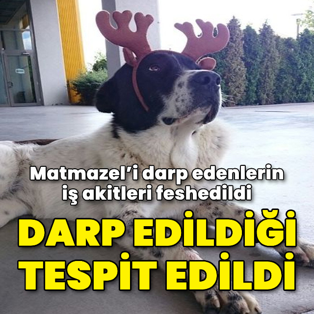 Matmazel'in darbedildiği tespit edildi!