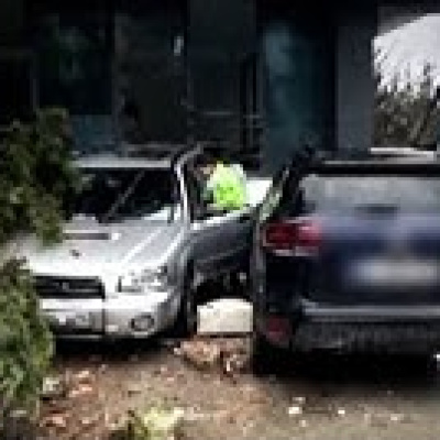 Frenle gaz karıştı!