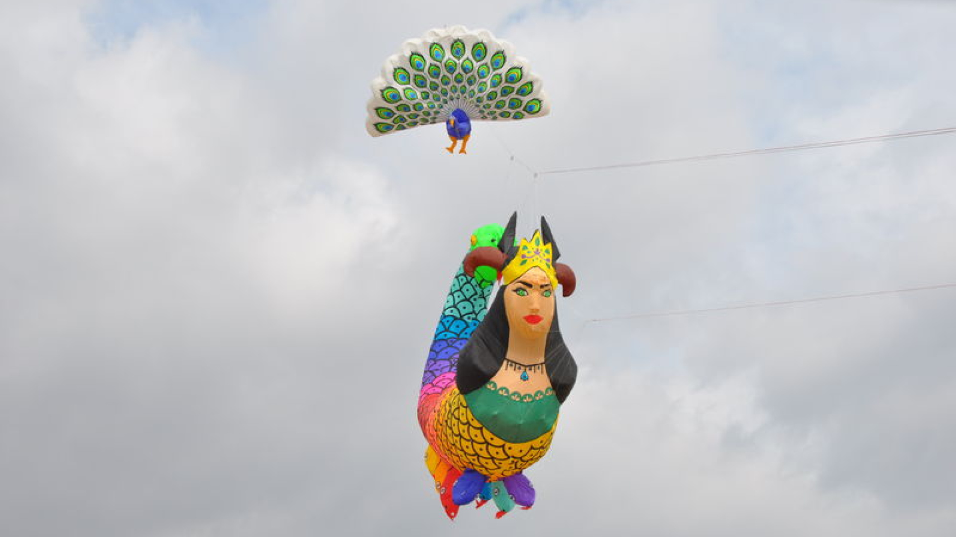 Dünya birincisi ‘tavus kuşu’ uçurtmasıyla Türkiye’…