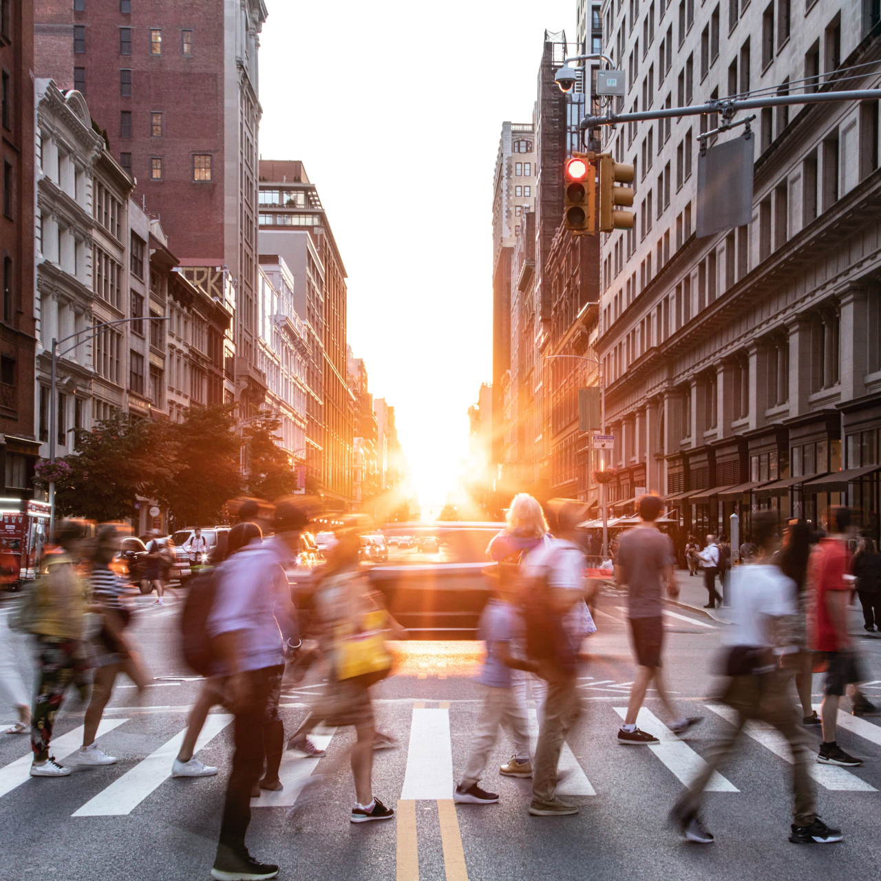 Trump yönetiminde rekor vize iptali