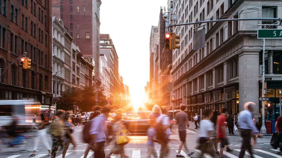 Trump yönetiminde rekor vize iptali