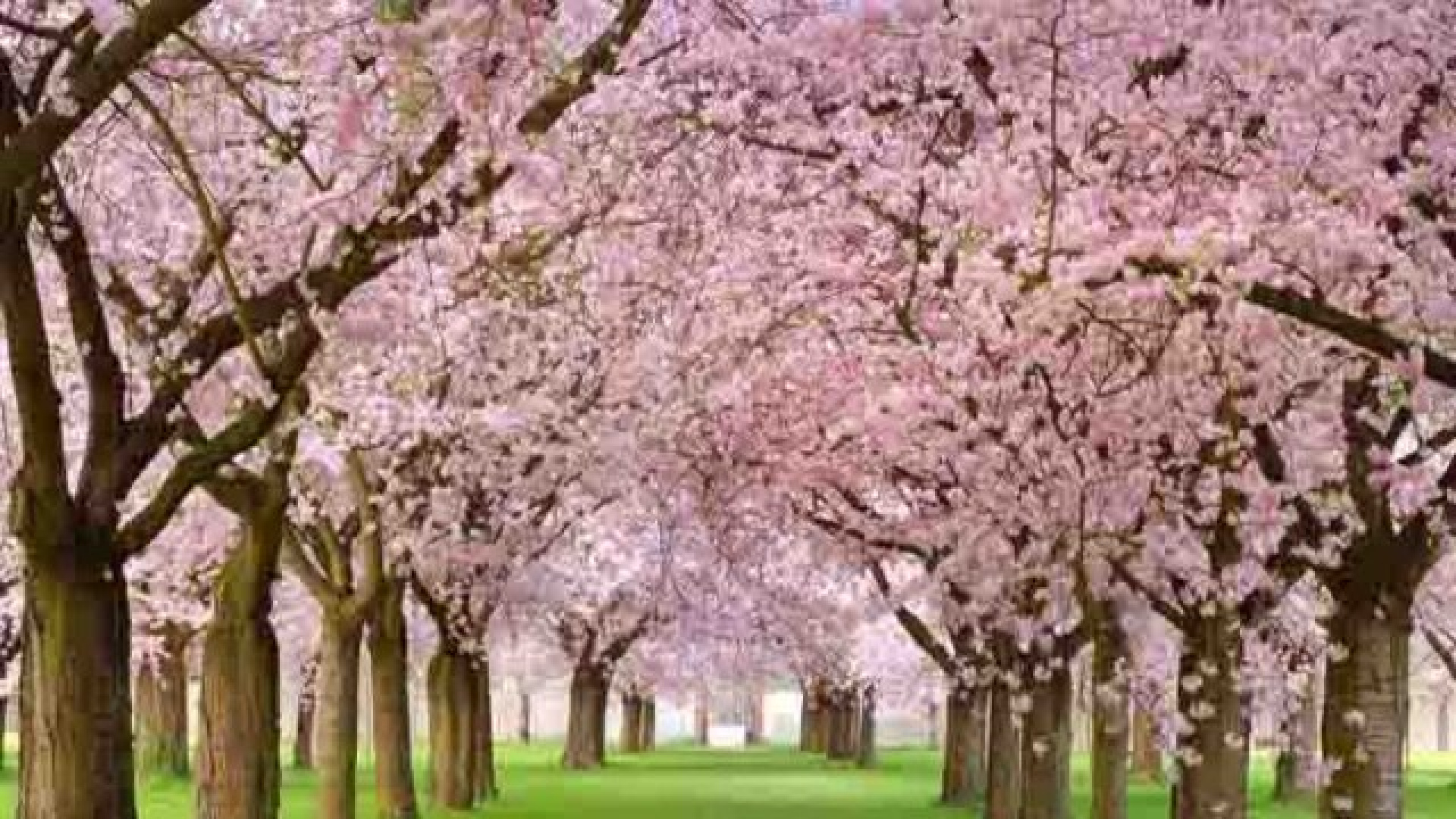 Havaya, suya, toprağa sırasıyla cemre düşmesi ne zaman? Cemre düşme tarihleri 2026