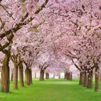 Cemre düşme tarihleri 2026