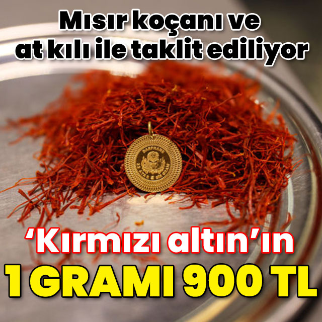 Mısır koçanı ve at kılı ile taklit ediliyor... 'Kırmızı altın'ın 1 gramı 900 TL!