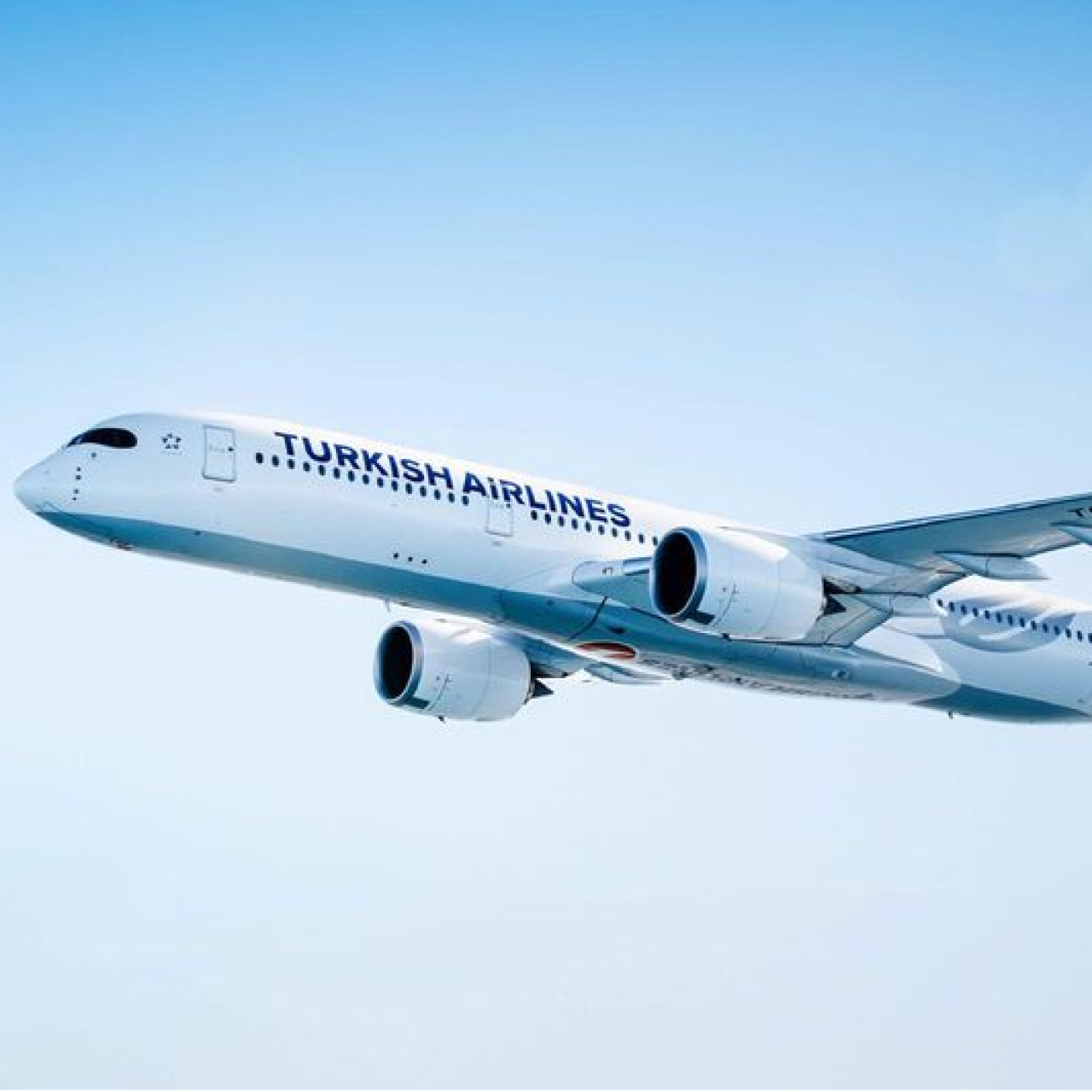 THY uçağı acil iniş yaptı!