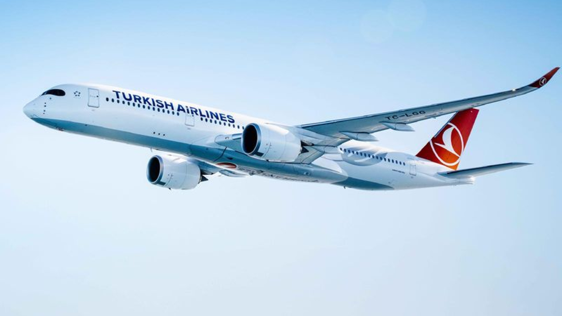 Son dakika haberi: THY uçağı acil iniş yaptı!