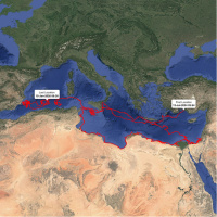24 bin km katetti! Uydudan adım adım takip