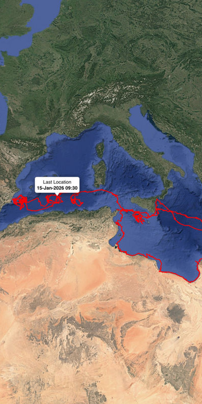 24 bin km katetti! Uydudan adım adım takip