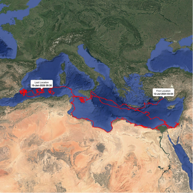 24 bin km katetti! Uydudan adım adım takip