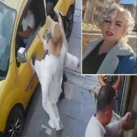 'Mardinli Marilyn' cezaevine teslim oldu!