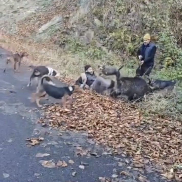 ''Ayakkabılarımı yemese boğacaktım!''
