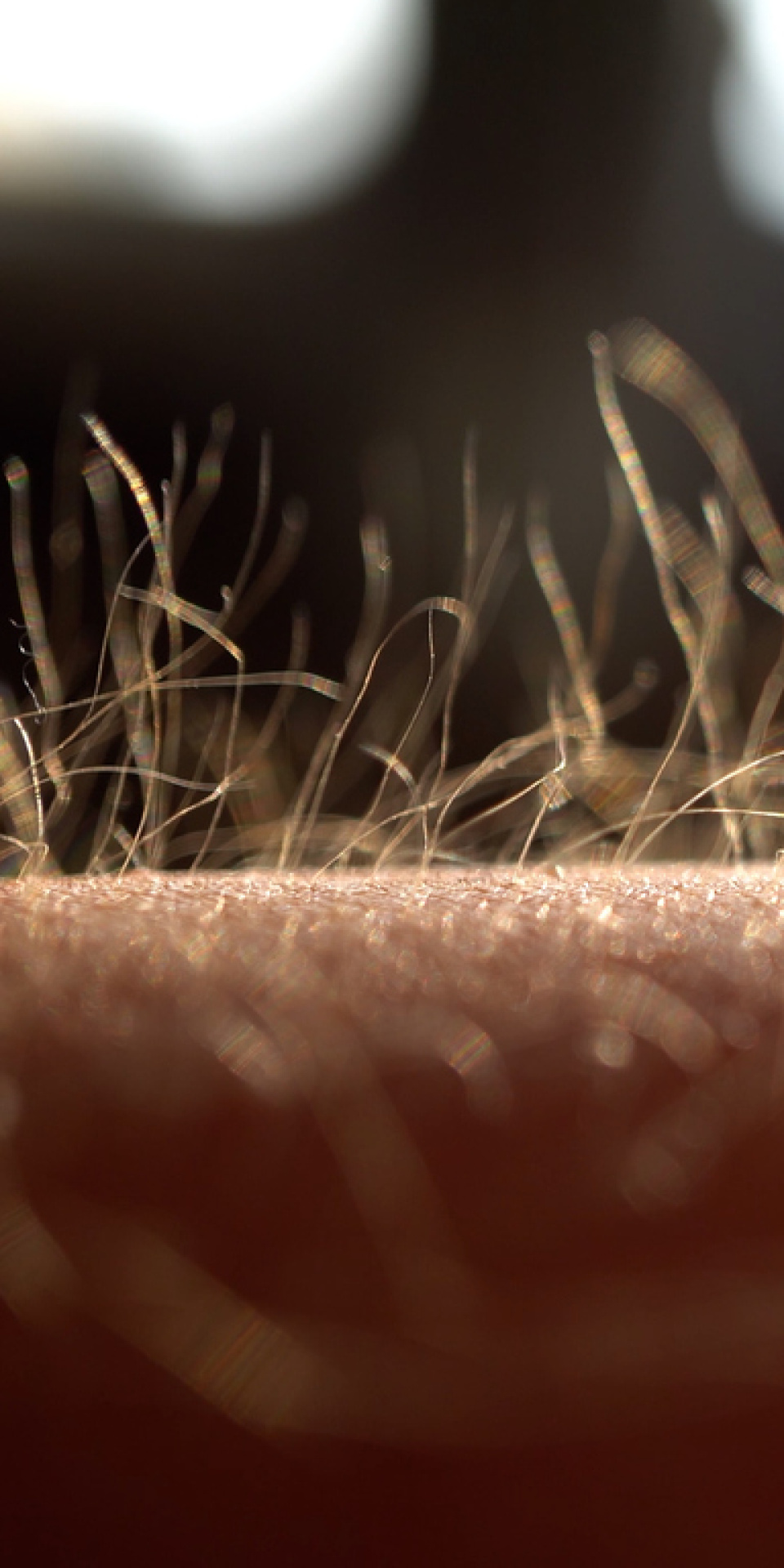 Kollardaki kılları almak günah mı?