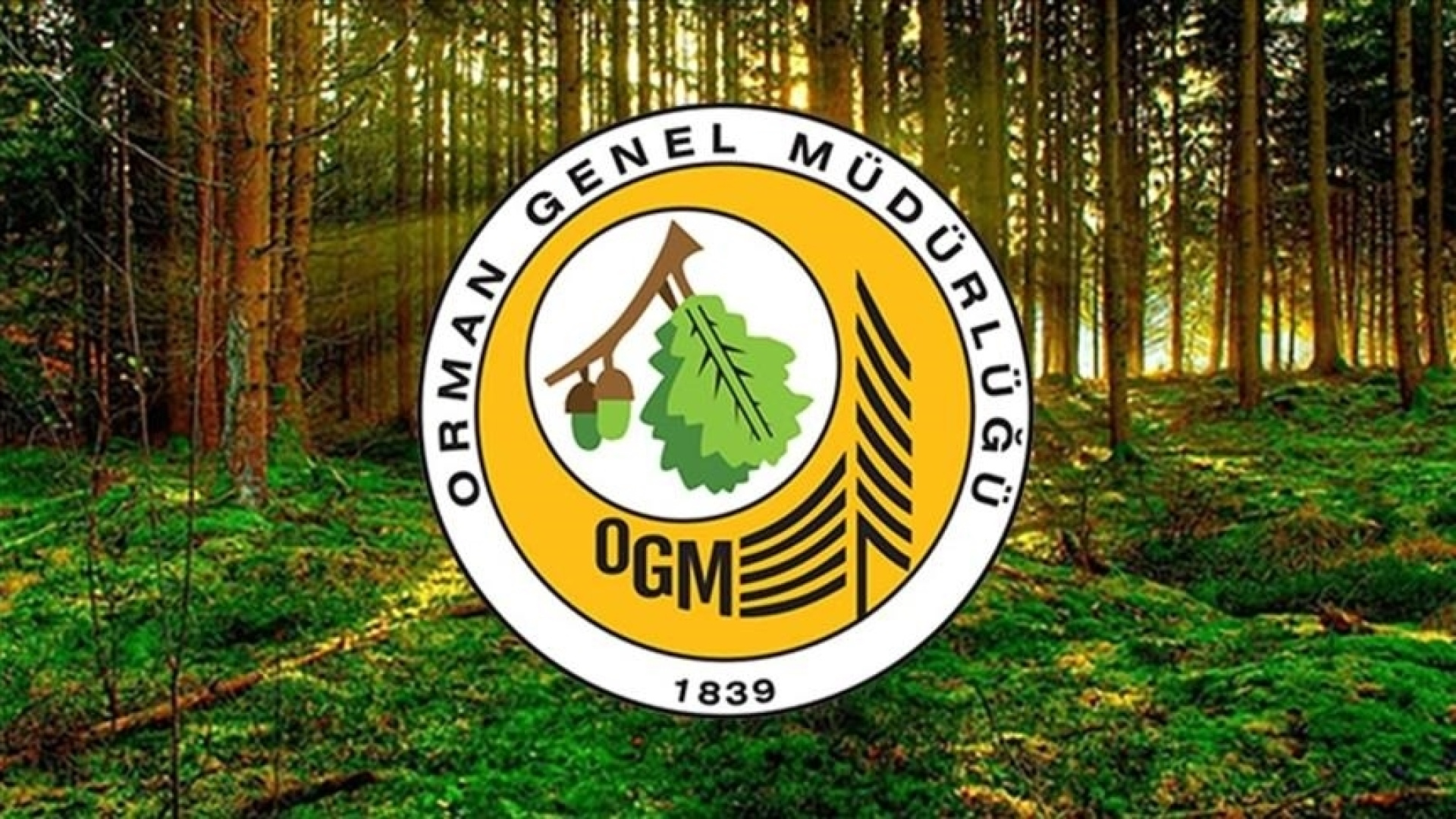 OGM 496 Sözleşmeli Personel Alımı Sonuçları Açıklandı!