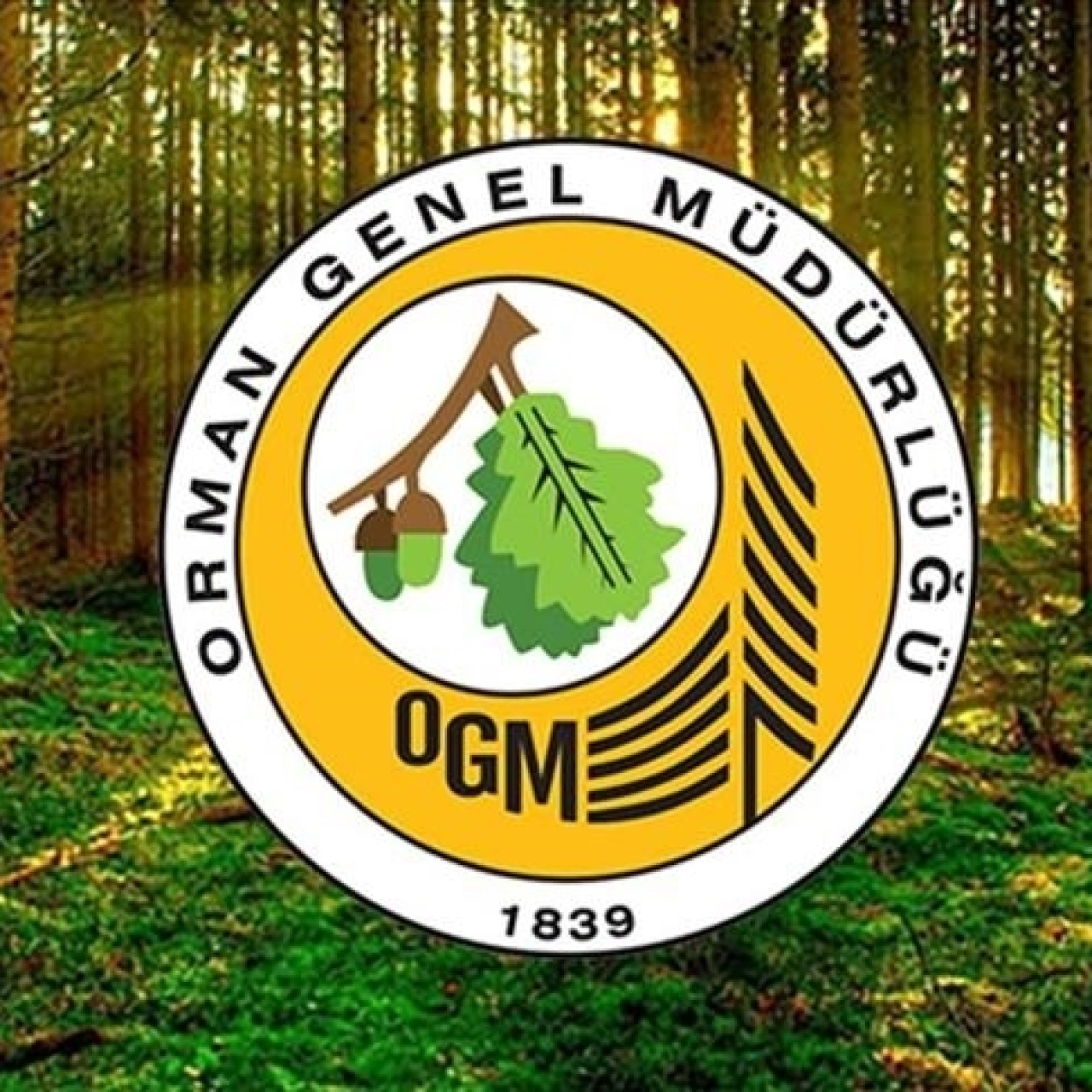 OGM 496 personel alımı sonuçları açıklandı!