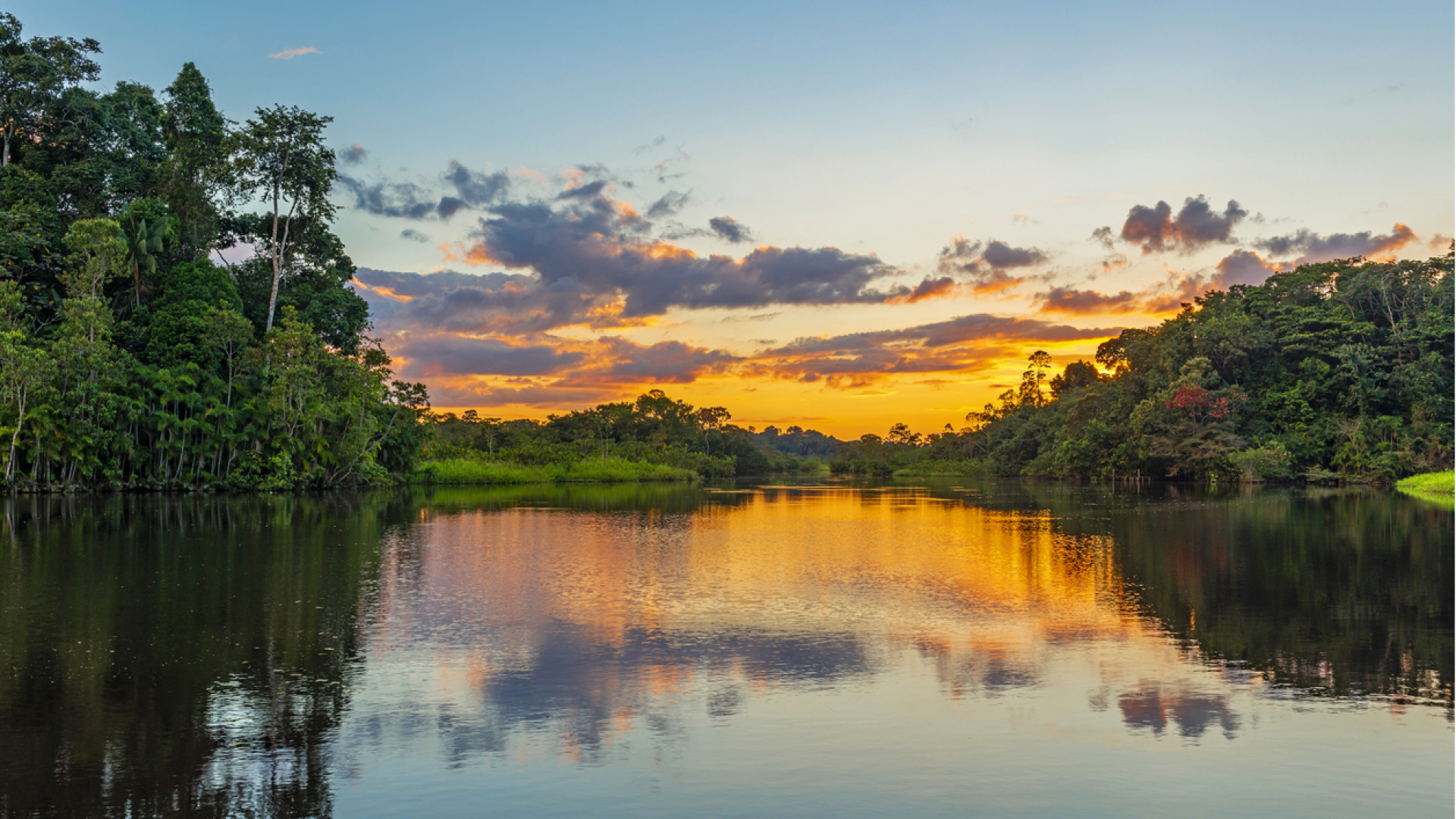 Dünyanın akciğerleri nasıl nefes alıyor, içeride insan yaşamı var mı? Amazon Ormanları’na dair az bilinen gerçekler
