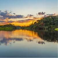 Dünyanın akciğerleri nasıl nefes alıyor?