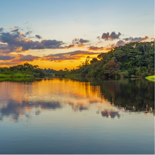 Dünyanın akciğerleri nasıl nefes alıyor?