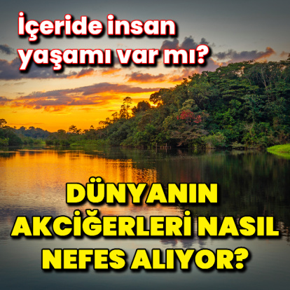 Dünyanın akciğerleri nasıl nefes alıyor?